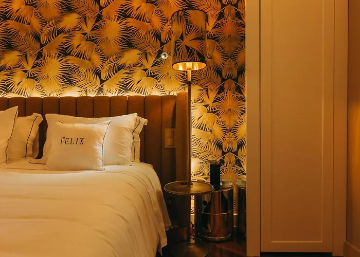 فندق مبيت وإفطار The Felix 10 4*