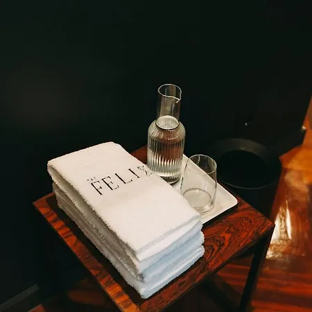 The Felix 10 Отель типа 