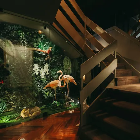 Couette-café The Felix 10 Lisboa